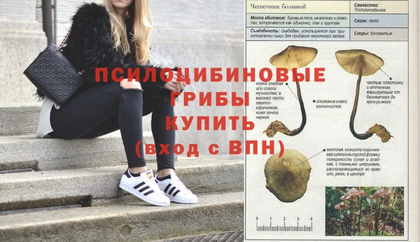 спиды Белокуриха